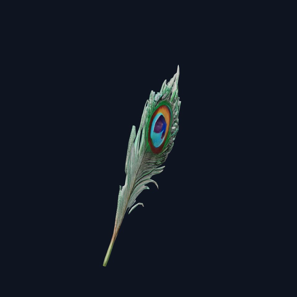 Elegant Peacock Feather model pack